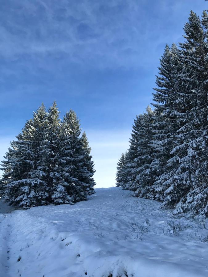Ferienwohnung Morgentau Am Rande Der Wildnis Sibratsgfäll المظهر الخارجي الصورة